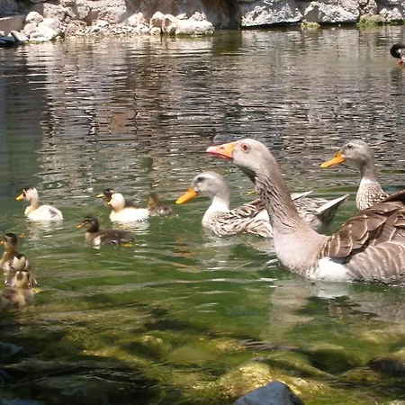 Adrasan River Hotel
